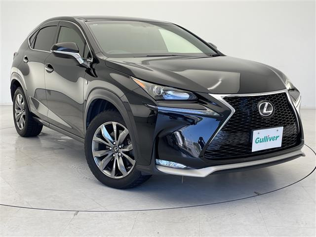 NX300h Fスポーツ