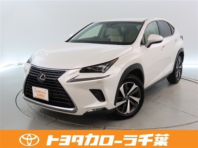 NX300 Iパッケージ 4WD
