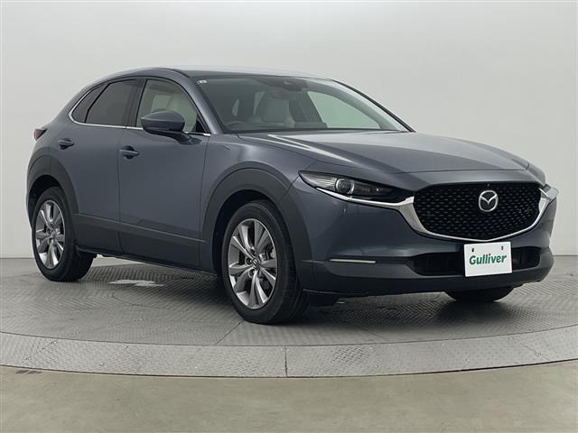 CX-301.8 XD Lパッケージ