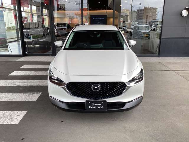 CX-301.8 XD Sパッケージ 4WD