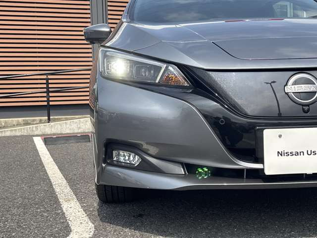 リーフ