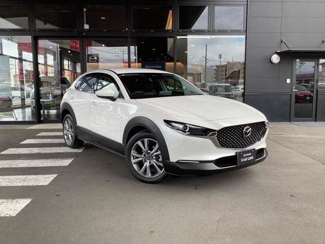 CX-301.8 XD Sパッケージ 4WD
