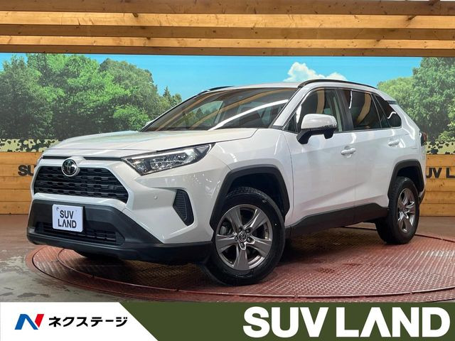 RAV42.0 X