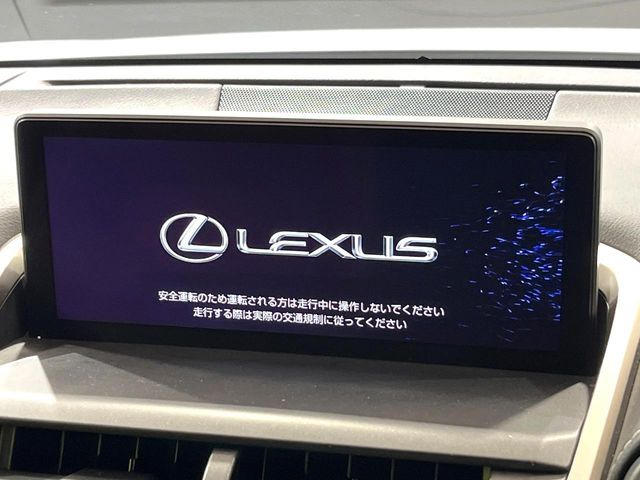 NX300h Iパッケージ