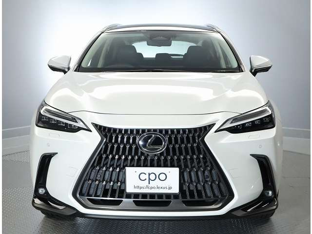 NX350h バージョンL 4WD