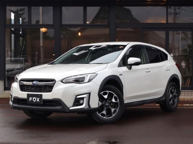 XV