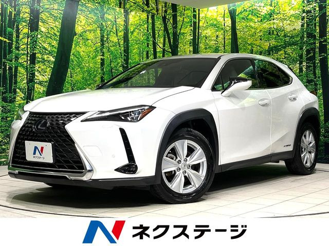 UX250h バージョンC