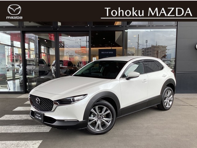 CX-301.8 XD Sパッケージ 4WD
