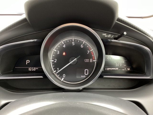 MAZDA21.5 15 サンリット シトラス