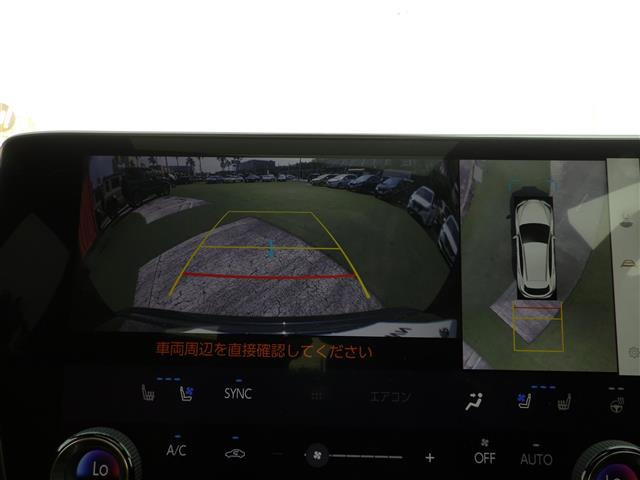 NX250 バージョンL