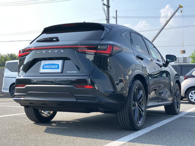 NX250 バージョンL