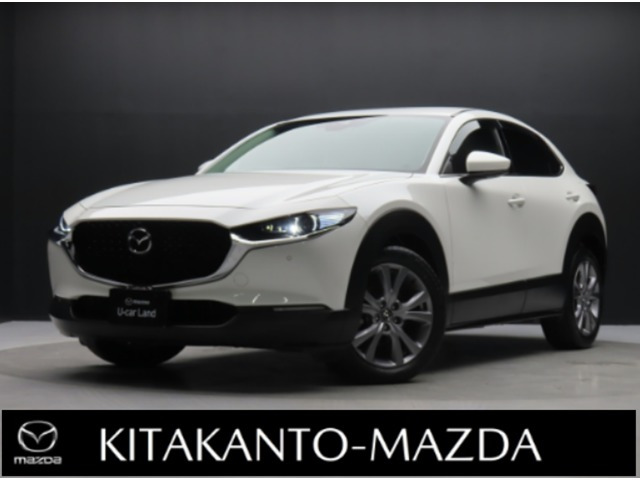 CX-301.8 XD Lパッケージ
