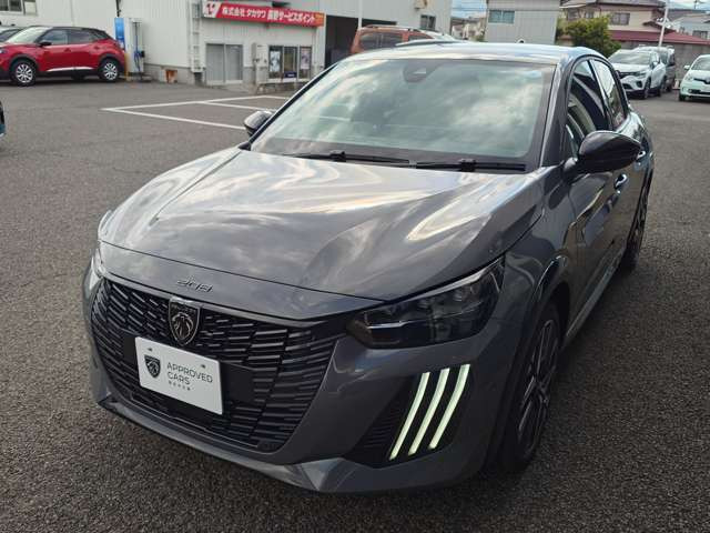 208GT セレニウム エディション