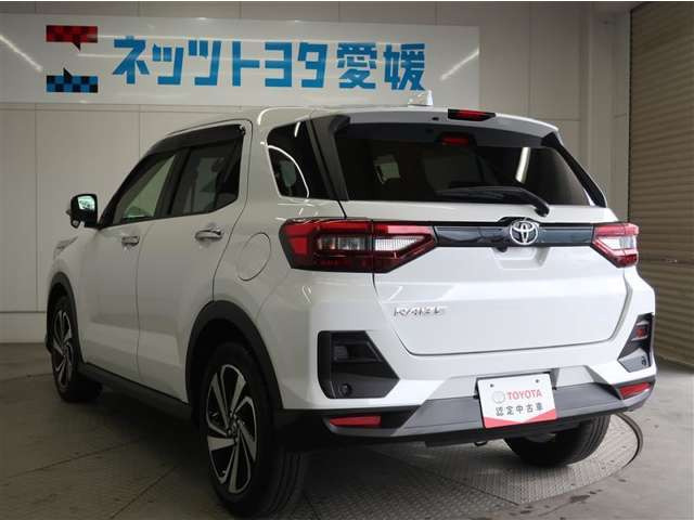 ライズ1.0 Z