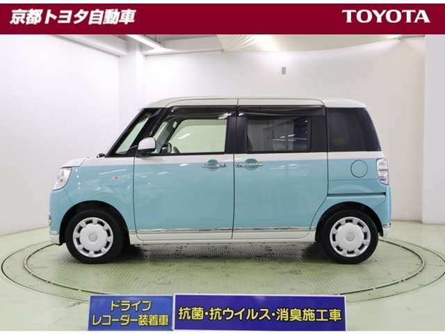 ムーヴキャンバスG SAIII
