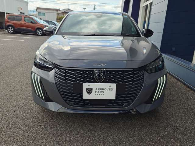 208GT セレニウム エディション