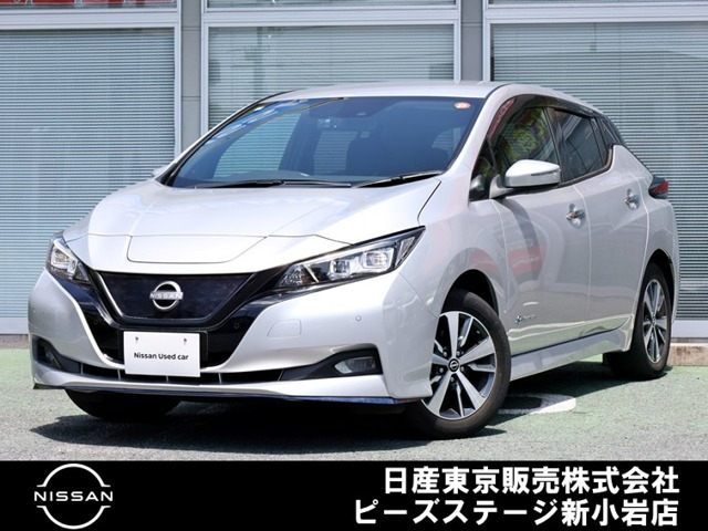 リーフe+ X