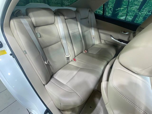 �㕔���Ȃ��C�ɂȂ�悤�ȃL�Y�E�����ւ��蓙�A�傫�ȃ_���[�W�͂Ȃ��A�ǍD�ȏ�Ԃł��B
