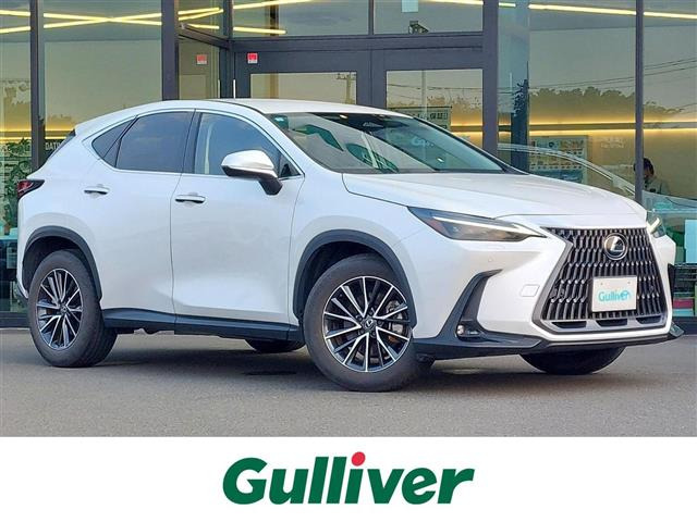 NX350h