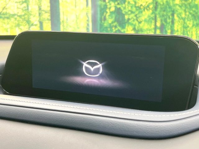 CX-302.0 20S