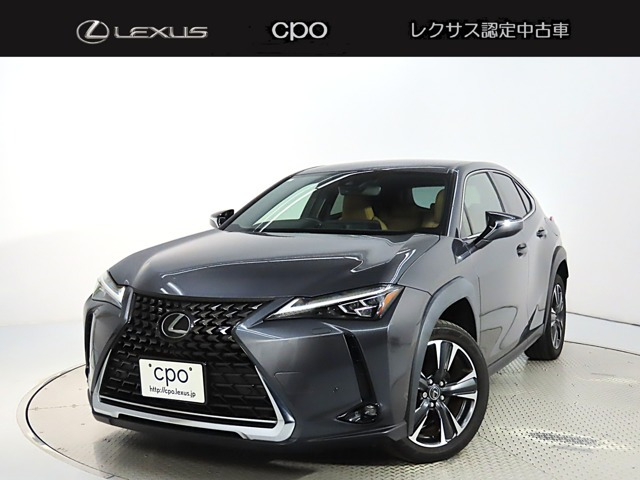 UX250h バージョンL