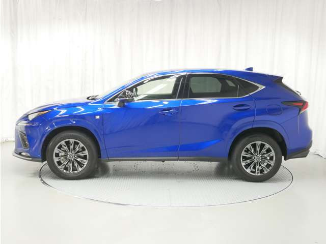 NX300 4WD