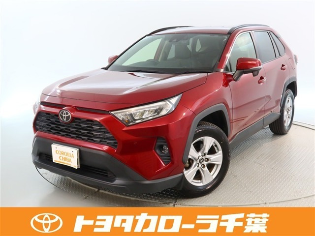 RAV42.0 X