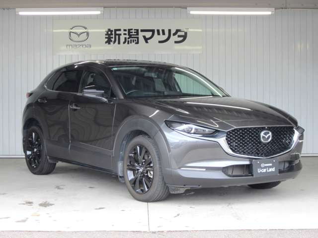 CX-30