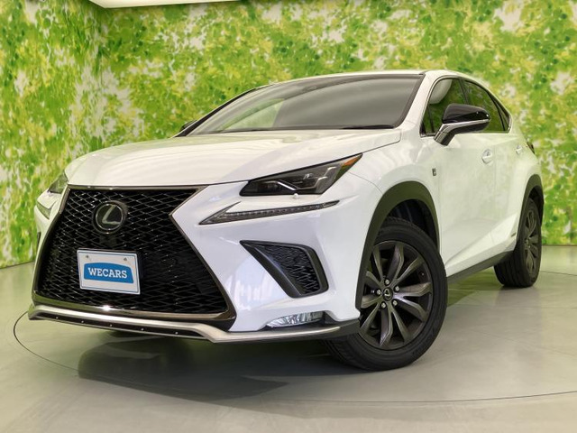 NX300h Fスポーツ