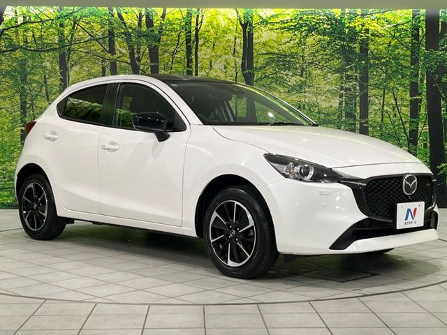 �������x�̃K���X�疌�ŝ����͂������A�㎿�ȃc���E����������B���O����_���J�����؂Ȉ��Ԃ�ی삵�A�F�����E�򉻂�h�~�B�u�e�X�v���b�V���R�[�g�v�A�u�e�v���~�b�T�R�[�g�v���炨�I�т��������܂��B