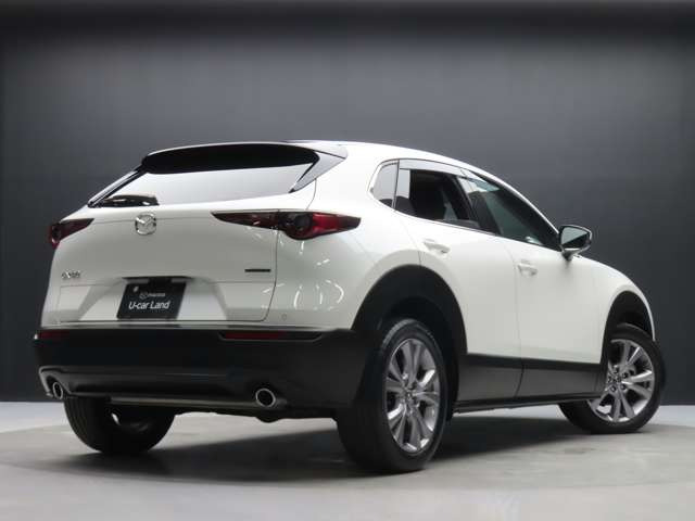 CX-301.8 XD Lパッケージ