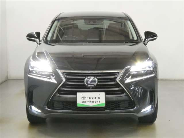 NX300h バージョンL 4WD