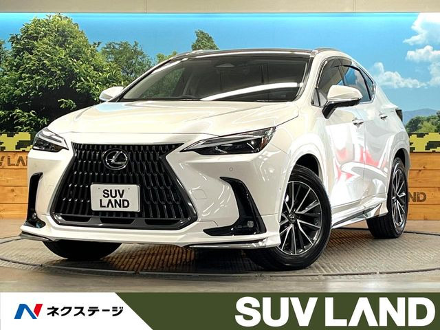 NX350h バージョンL