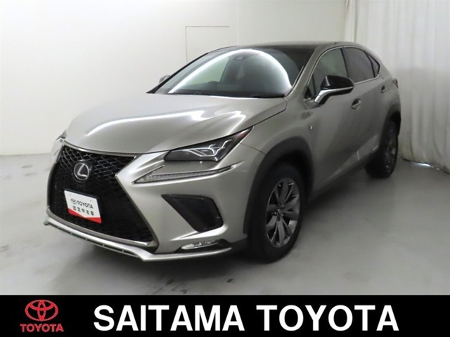 NX300h Fスポーツ