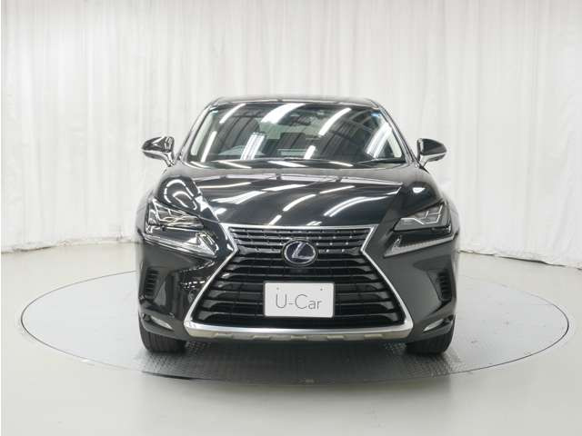 NX300h バージョンL 4WD