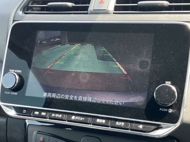 リーフX