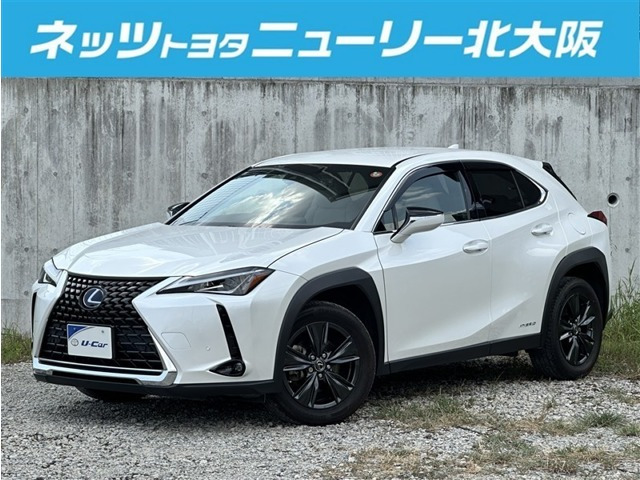 UX250h バージョンC
