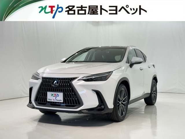 NX250 バージョンL