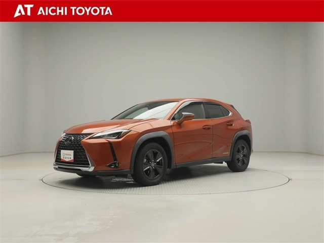 UX250h バージョンC