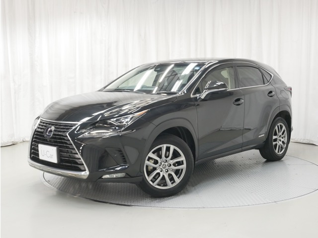 NX300h バージョンL 4WD