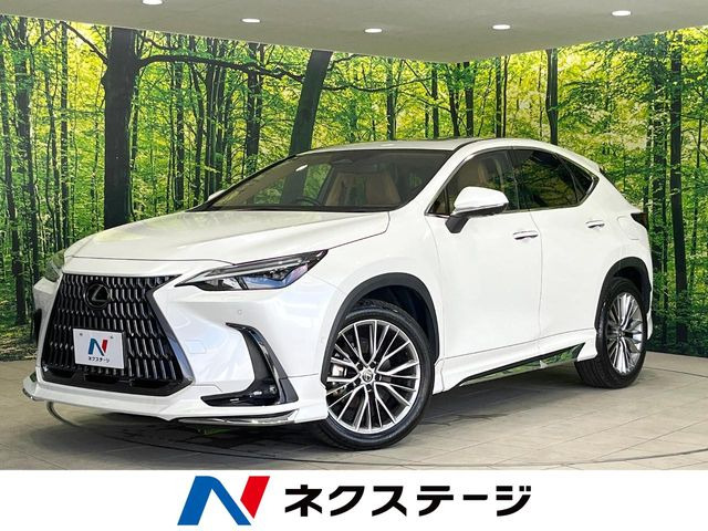 NX350h バージョンL