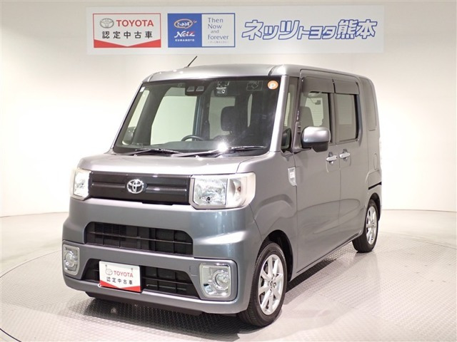 ピクシスメガL SAIII