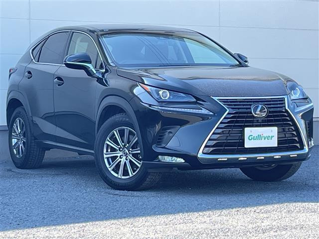 NX300