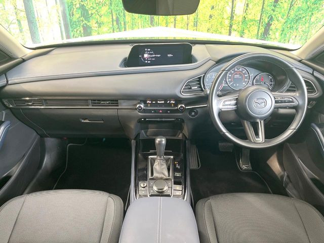 CX-302.0 20S