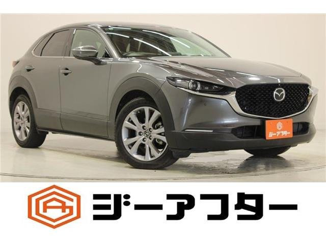 CX-301.8 XD Lパッケージ 4WD