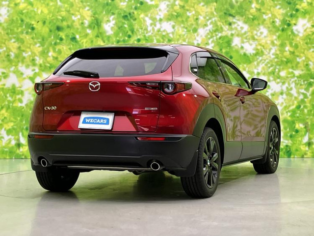 CX-302.0 20S ブラック セレクション