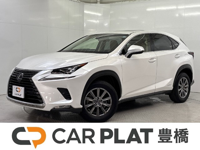 NX300h Iパッケージ