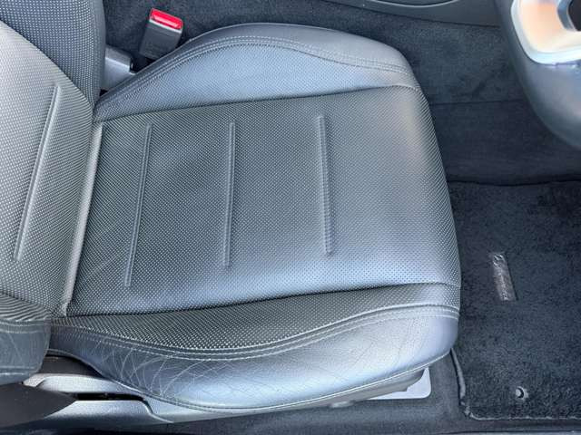 �傫�ȃV����ւ���ȂǂȂ��A���ɂ��ꂢ�ȏ�Ԃł��B