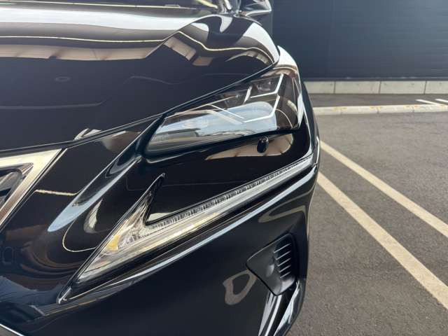 NX300h バージョンL 4WD