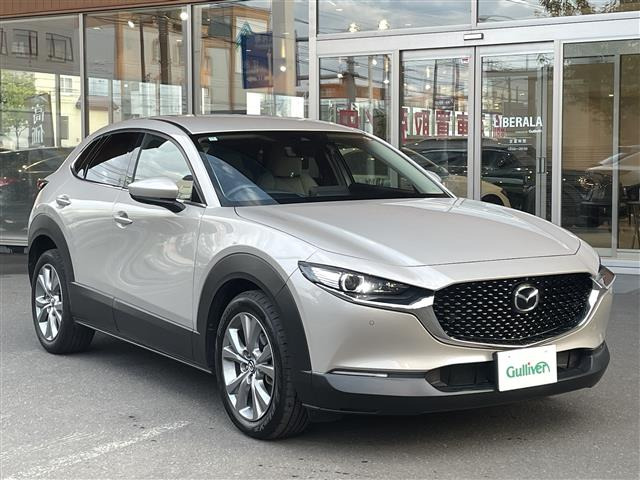 CX-302.0 20S プロアクティブ ツーリングセレクション